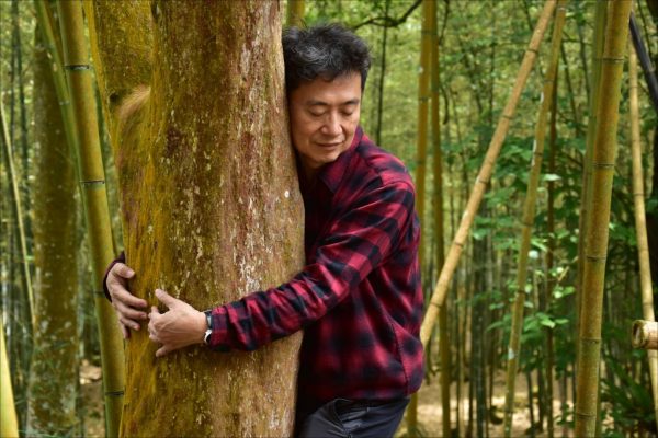 2025/5/24~25(六日)拓齡竹石山青~綠療戶外體驗活動：圖片 6