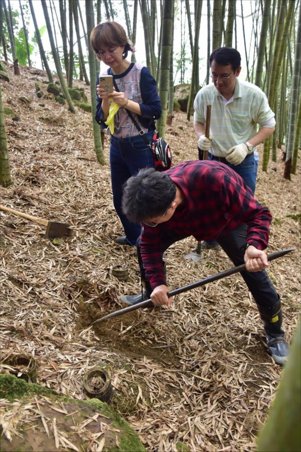 2025/5/24~25(六日)拓齡竹石山青~綠療戶外體驗活動：圖片 4